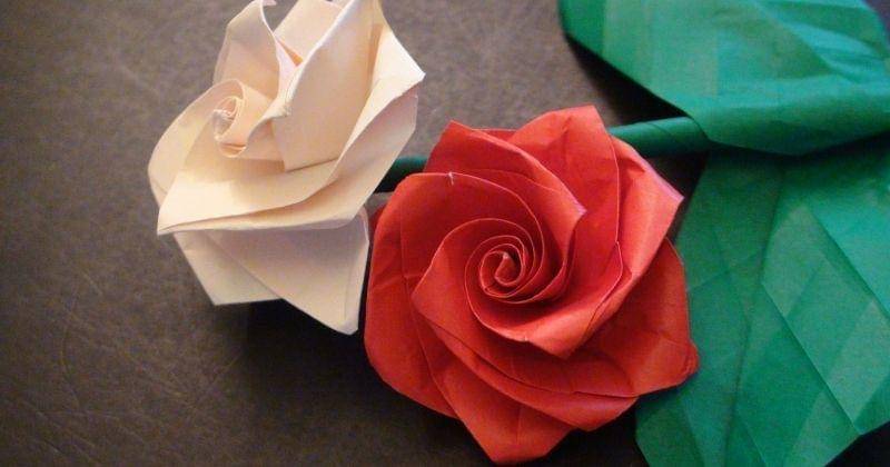 bungamawarinfo.blogspot.com